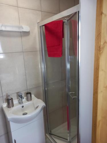 y baño con ducha y lavamanos. en Country Cottage Apartment Valentia Island Kerry, en Isla de Valentia