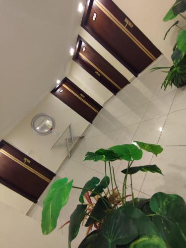 a ceiling with wooden cabinets and a plant in a room at Jewel San Stefano Hotel in Alexandria