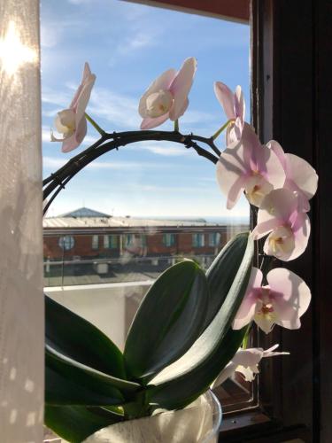 Fotografie z fotogalerie ubytování Hotel Wünschmann v destinaci Westerland