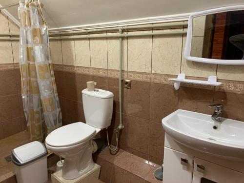 a bathroom with a toilet and a sink at Гостинний дім in Szack