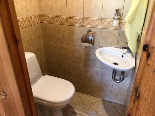 a bathroom with a toilet and a sink at Brīvdienu mājas Pārupes in Bauska