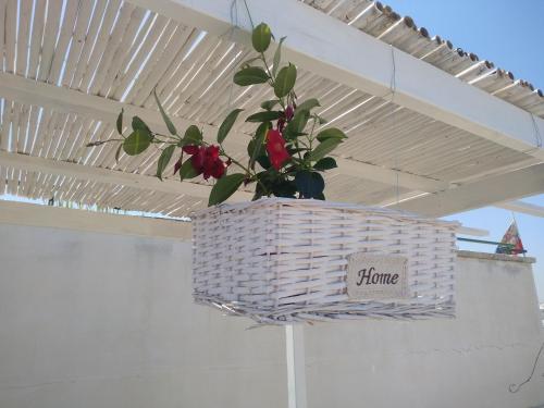 a potted plant in a basket hanging from a ceiling at B&B Vistamareblu in San Foca