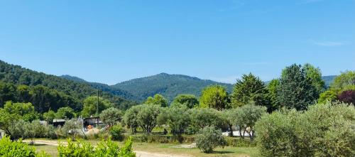 un champ planté d'arbres et de montagnes en arrière-plan dans l'établissement Villa CoCoon - Love room cocooning & 50 nuances, à Cuges-les-Pins