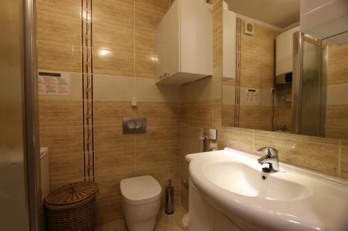 bagno con lavandino e servizi igienici di Apartment Boltar a Šilo