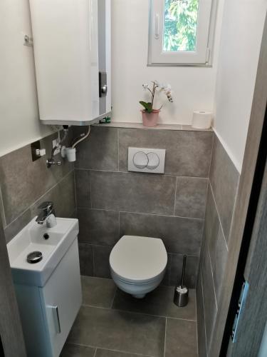 a small bathroom with a toilet and a sink at Éva Apartmanház in Csopak