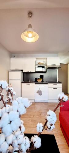 Dapur atau dapur kecil di Vacancéole - Résidence Les Balcons d'Aix