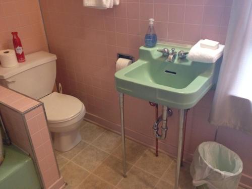 a bathroom with a green sink and a toilet at Holiday Lodge Bed and Breakfast in Banff