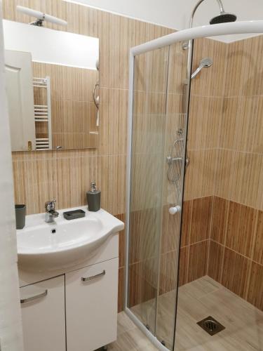 y baño con ducha y lavamanos. en Baross-hat 5 en Szolnok