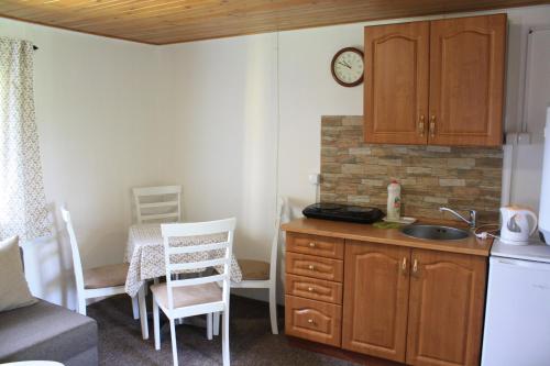 eine Küche mit einer Spüle und einer Theke mit einem Tisch in der Unterkunft Hotel KRYŠTOF in Prostřední Bečva