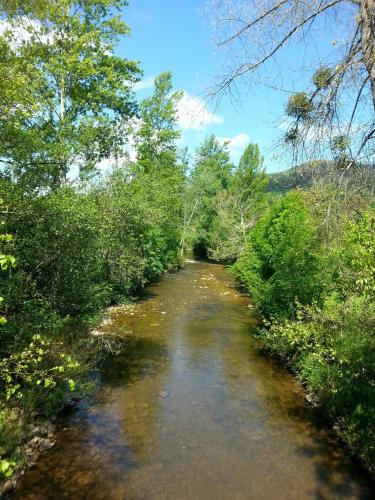 a small river with trees on both sides of it at Hotel Rural El Espino in Cangas de Onís