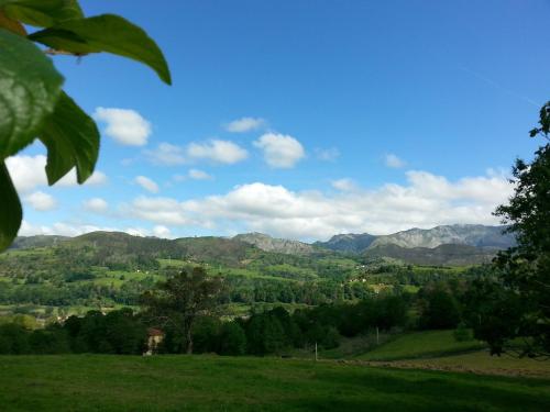 a view of a green field with mountains in the background at Hotel Rural El Espino in Cangas de Onís