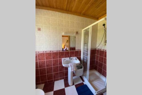 y baño con lavabo y ducha. en The Cosy Cabin en Swinford