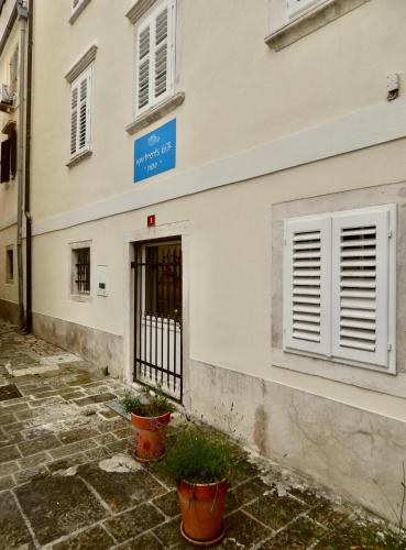 a building with a gate and potted plants in front of it at Apartments Igor in Piran