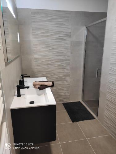 uma casa de banho com um lavatório e um chuveiro em Sweet Home Apartments em Sárvár