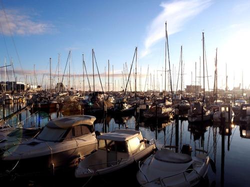 a bunch of boats are docked in a harbor at Premium Haus in Damp