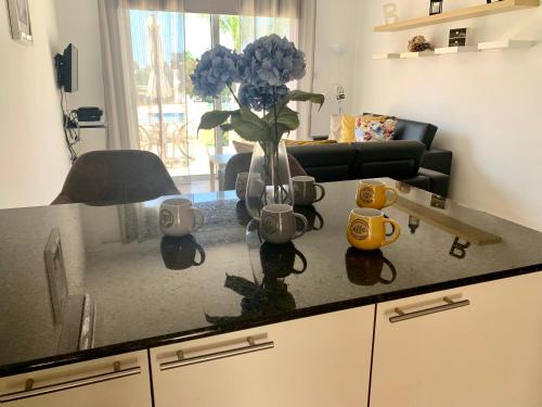 un comptoir de cuisine avec un vase et une plante sur lui dans l'établissement Nissi 3 C4 Pool View Apt, à Ayia Napa