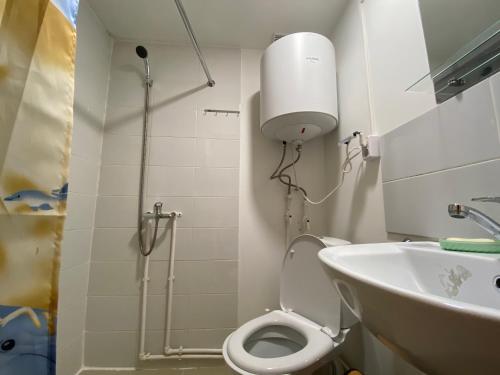 アルシャンにあるGuest House Garmoniyaのバスルーム(シャワー、トイレ、シンク付)