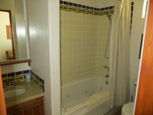 uma casa de banho com um chuveiro, uma banheira e um lavatório. em Rancho Milagro Bed & Breakfast em Elgin