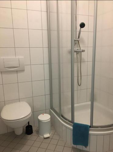 a bathroom with a shower and a toilet at Schloß Wittgenstein in Bad Laasphe