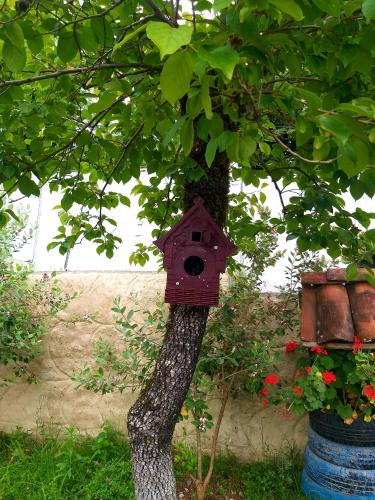a red bird house sitting on a tree at Magdan house in Tskaltubo