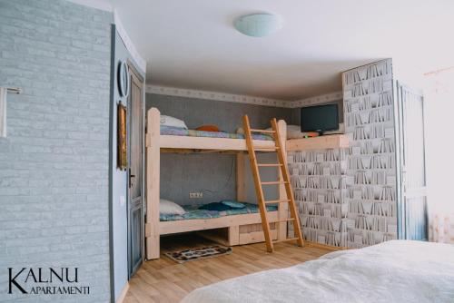 a bedroom with bunk beds with a ladder at Kalna apartamenti in Aglona