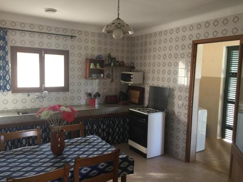 Kuchyň nebo kuchyňský kout v ubytování Finca Las Tortugas
