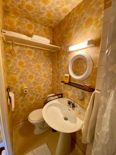 a small bathroom with a sink and a toilet at Hôtel de famille L.F.M.A.L. in Giat