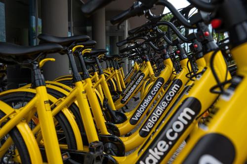 a row of yellow bikes parked next to each other at Lake Front Hotel Mirage in Riva del Garda