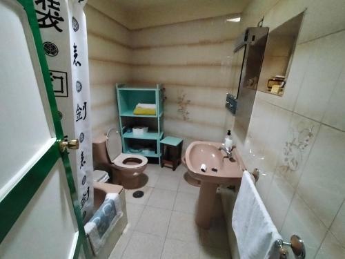 EreseにあるCasa Omaira Ereseのバスルーム(ピンクのシンク、トイレ付)