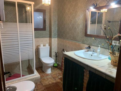 a bathroom with a toilet and a sink and a shower at Cortijo Rural La Chula in Fontanar