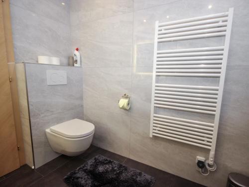 a bathroom with a white toilet and a shower at Apartment Haus Sailer by Interhome in Oberperfuss