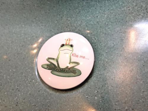 a pin with a frog with a crown on it at Apartment Haus Sailer by Interhome in Oberperfuss