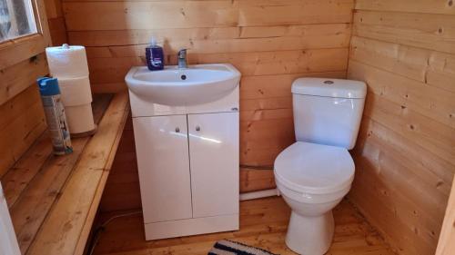 a bathroom with a toilet and a sink at SP camping Spāres Prieduļi in Nīca