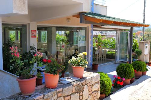 a bunch of potted plants sitting outside of a store at Aleksander ApartHotel in Ksamil