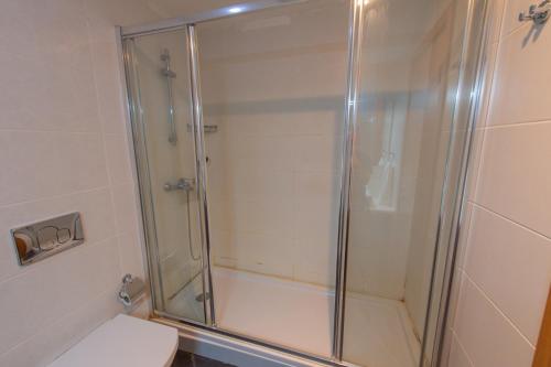 a bathroom with a shower and a toilet at CTS Elysium Residence Taksim in Istanbul