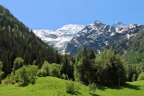 un champ verdoyant avec des arbres et des montagnes en arrière-plan dans l'établissement Modern Chalet With Garden Chamonix, à Chamonix-Mont-Blanc