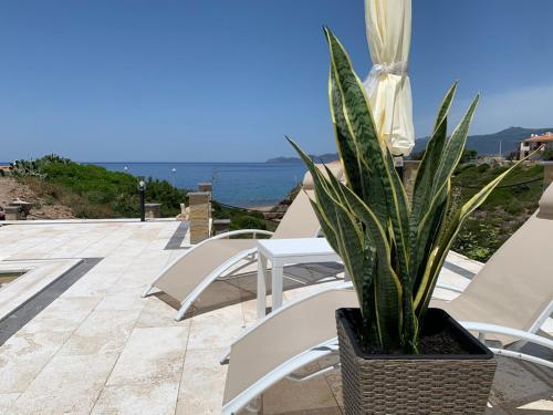 a potted plant sitting on a patio next to chairs at Casa Oleandri in Tresnuraghes
