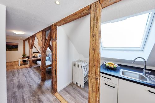 a kitchen with a sliding barn door and a sink at Wohnung 15 - traumhaft übernachten in Ringsheim