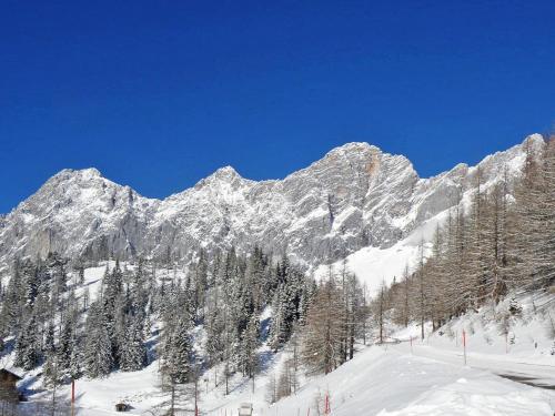 a snow covered mountain with trees on a ski slope at Apartment Knaushof by Interhome in Ramsau am Dachstein