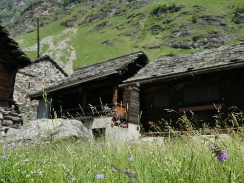 Naturlandschaft in der Nähe des Chalets