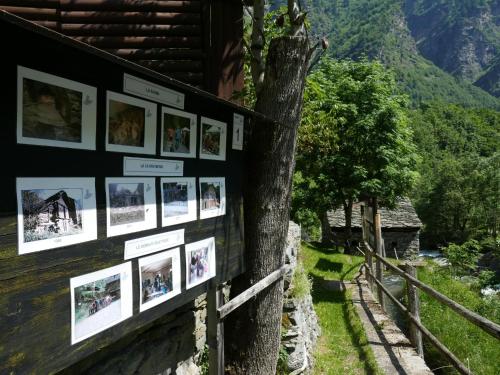 Naturlandschaft in der Nähe des Chalets