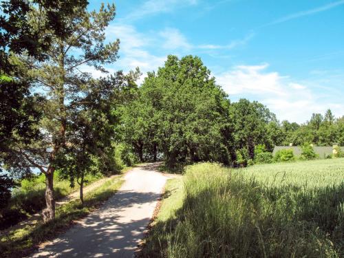 a dirt road through a field with trees at Holiday Home Karasova III by Interhome in Dehtáře