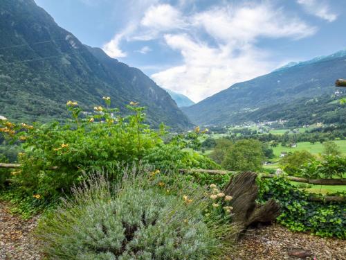a view of a valley with mountains in the background at Apartment Nelly by Interhome in Ponto Valentino