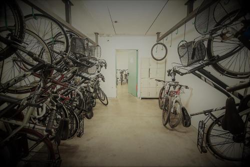 a room with a bunch of bikes hanging on the wall at Hotel Campagnola in Riva del Garda