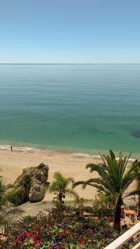 a view of a beach with palm trees and the ocean at Hotel Paraíso Del Mar in Nerja