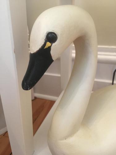 a fake swan sticking its head out of a door at La Belle aux Berges in Saint-Denis-sur-Richelieu