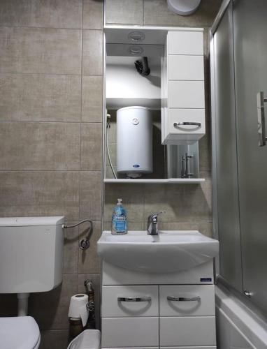 Bilik mandi di Apartman Aleksandra