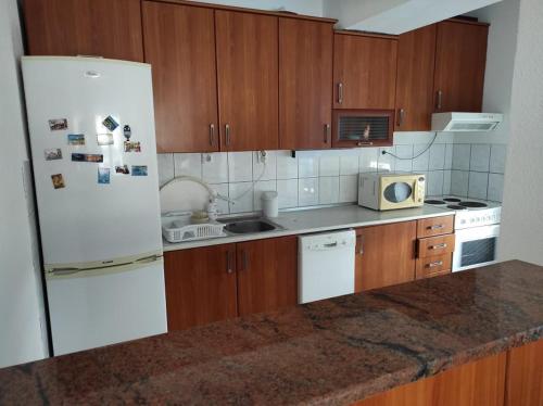 Dapur atau dapur kecil di Apartman Aleksandra