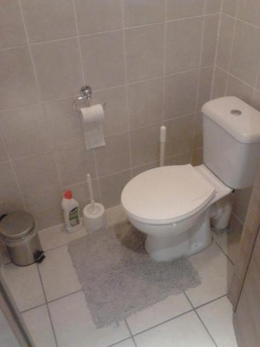 a bathroom with a white toilet in a room at Gîte BELLA in Ebly