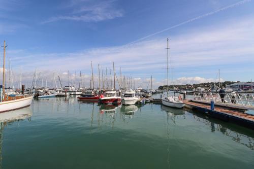a bunch of boats docked in a harbor at Aquanaut in Cowes
